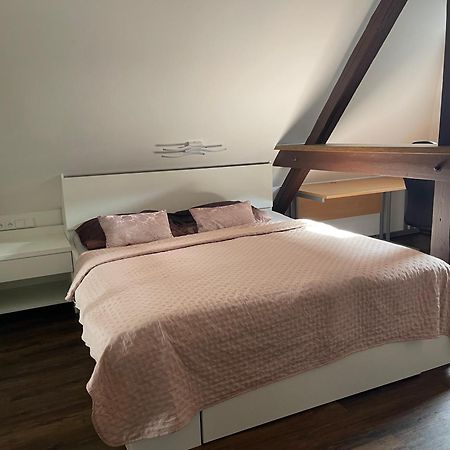 Jenys Apartment Usti 2 Usti nad Labem Luaran gambar